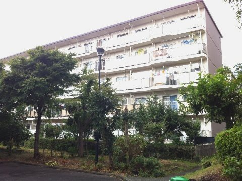 大沢団地 現地写真