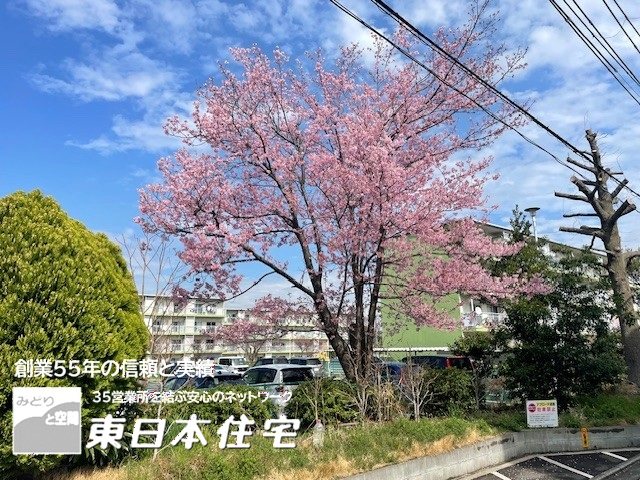 上中里団地 その他