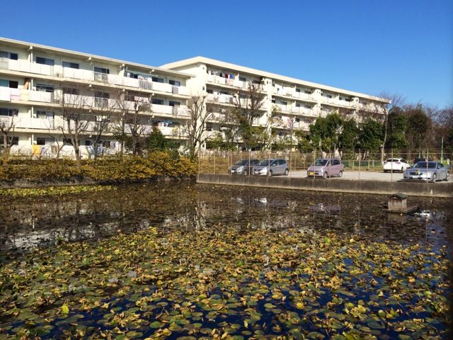 グリーンタウン安行東 現地写真