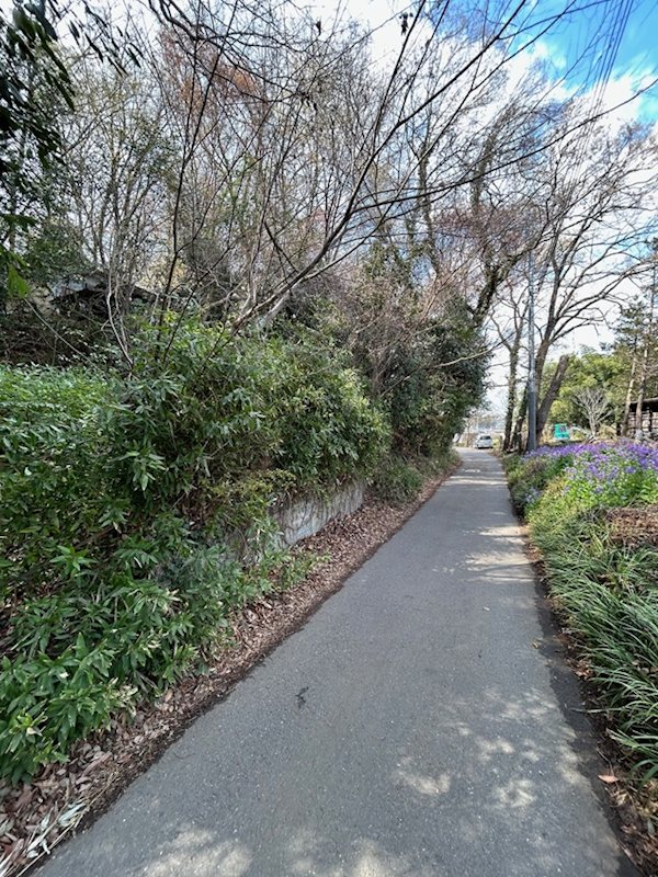 所沢市山口土地 現地写真（前面道路含む現地写真）