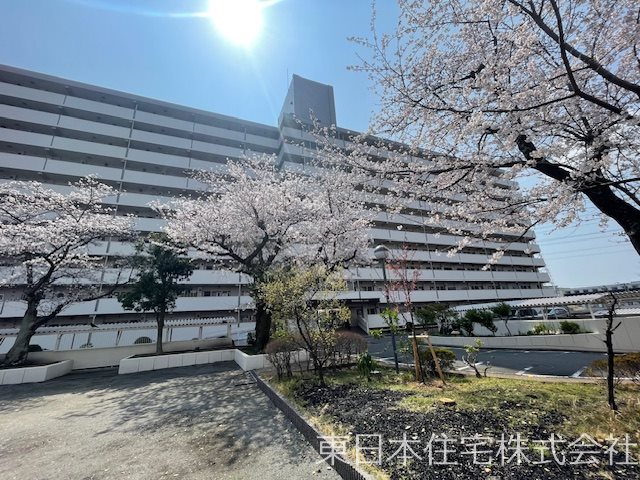野庭団地619 現地写真