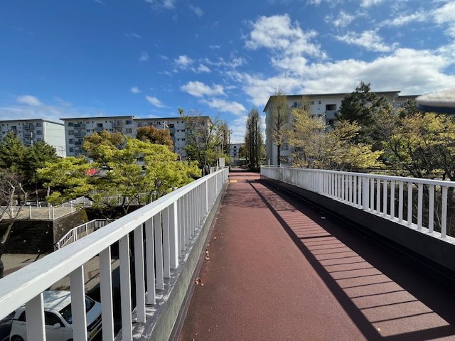 港南台ひばり団地 その他