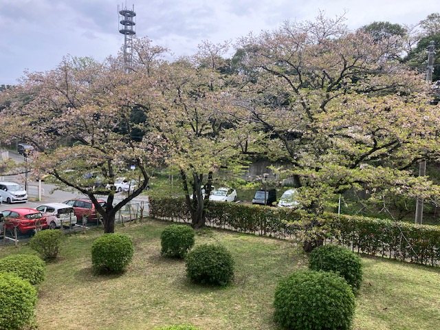 左近山団地  眺望写真
