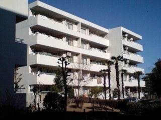 並木2丁目第2住宅 現地写真
