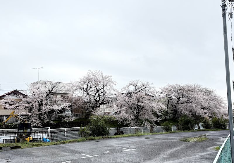 パレス翔相武台 現地写真（その他）
