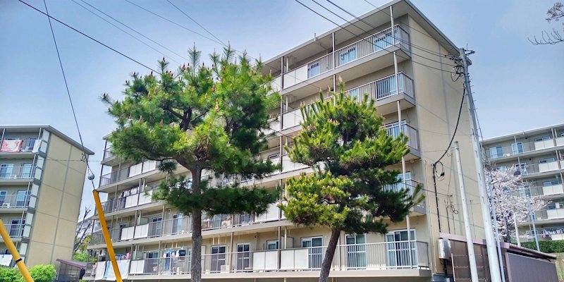 西小中台団地33棟 現地写真