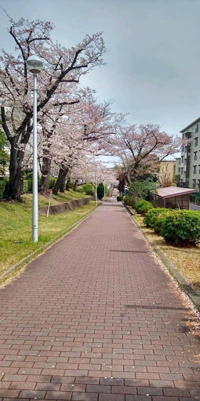 西小中台団地33棟 その他