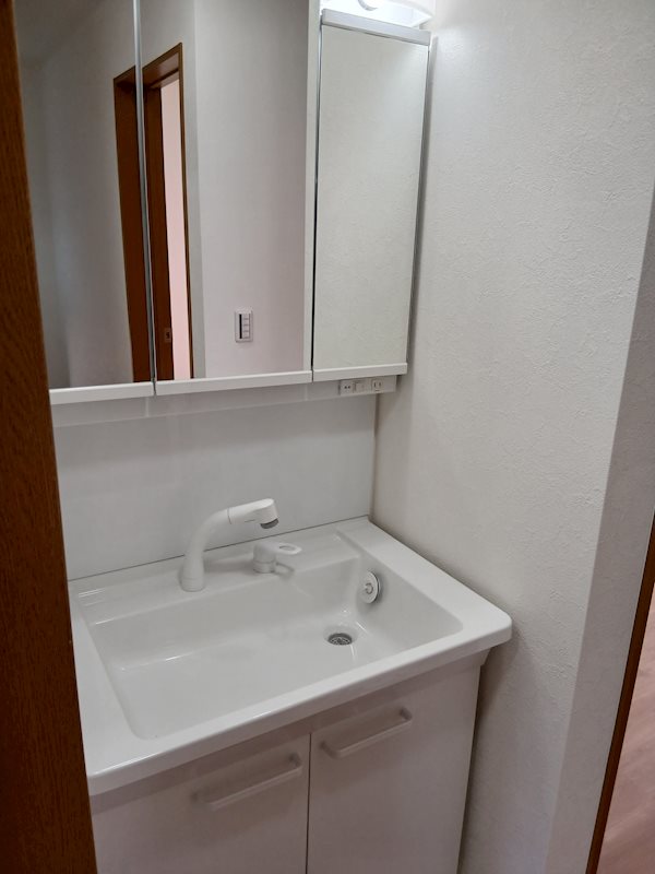 柏市柏中古戸建  内観写真（洗面台・洗面所）