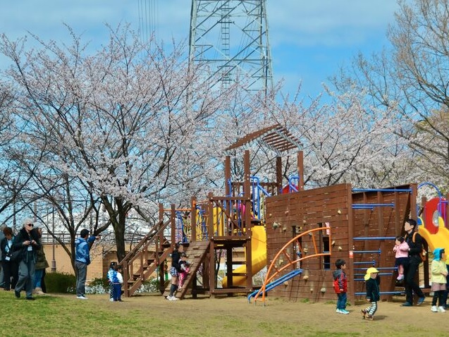 柏市柏中古戸建  公園