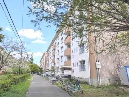 新栄町団地 現地写真（その他）