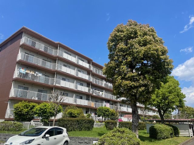東新井団地 現地写真