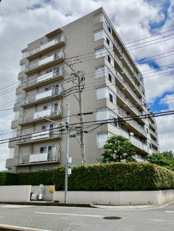 アミティ草加 現地写真