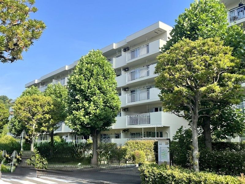 並木2丁目第6住宅 13号棟 現地写真
