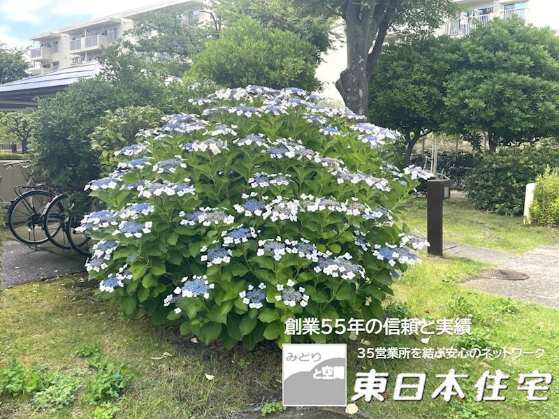並木2丁目第6住宅 13号棟 その他