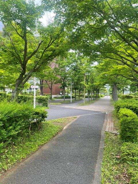 東新井団地 その他