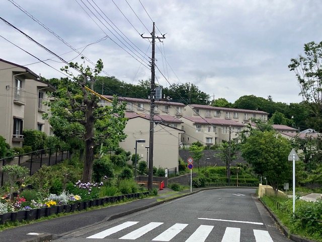 サニーヒル今宿　 現地写真