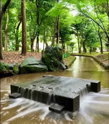 光が丘パークタウン春の風公園街（5階建） 公園
