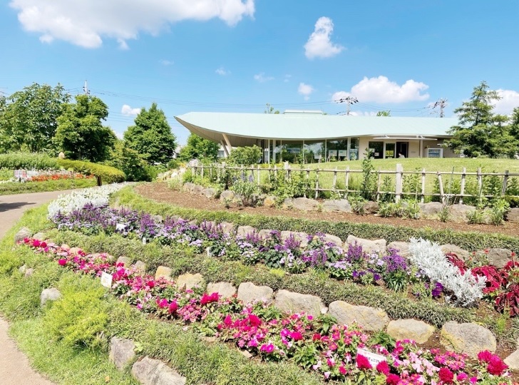レーベンハイム東松戸カーサコンプレアンノ 公園