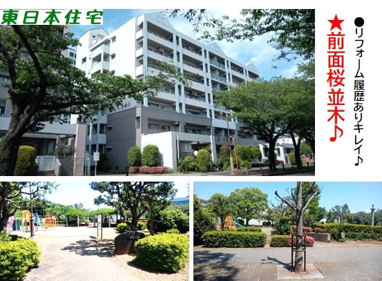 プロムナード桜台四番街 現地写真