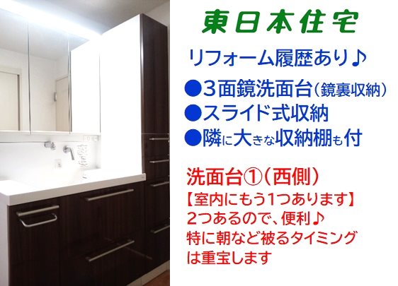 プロムナード桜台四番街 内観写真（洗面台・洗面所）