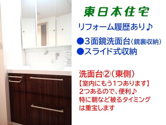 プロムナード桜台四番街 内観写真（洗面台・洗面所）
