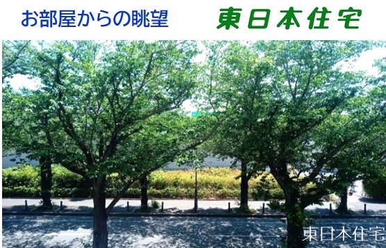 プロムナード桜台四番街 眺望写真
