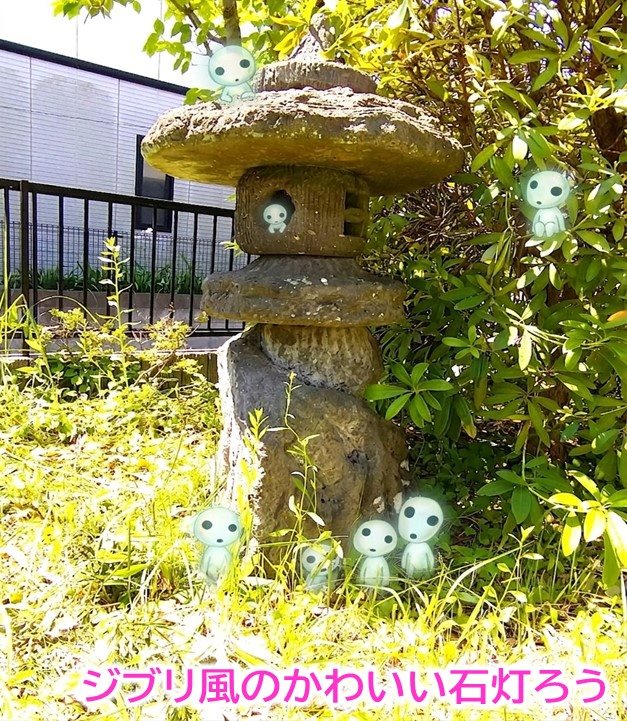戸建　池の上二丁目 現地写真（庭）