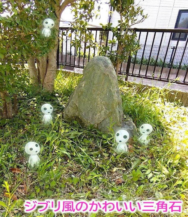 戸建　池の上二丁目 現地写真（庭）