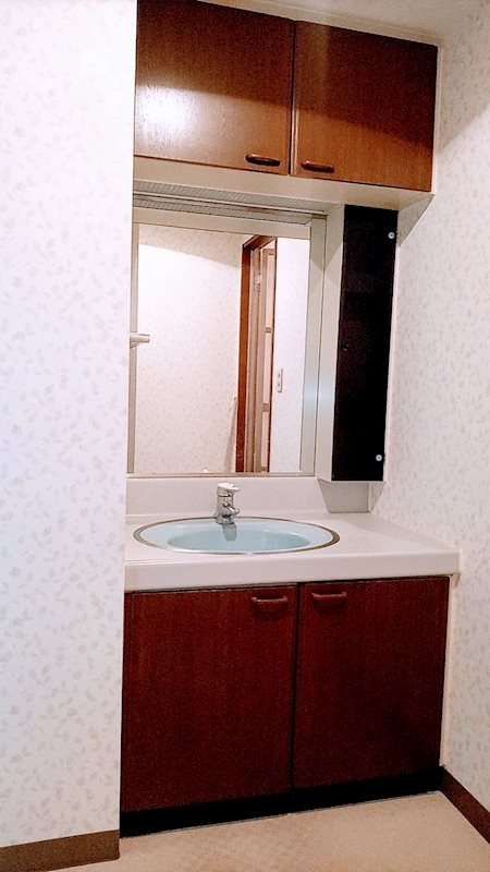 グリーンコモンズ川越 内観写真（洗面台・洗面所）