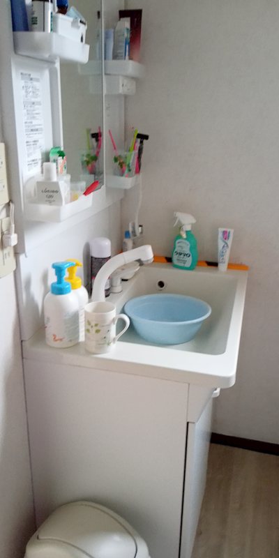 桜田3丁目戸建 内観写真（洗面台・洗面所）
