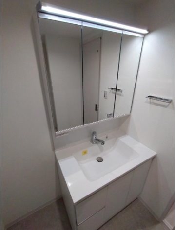 フォレストレイクひばりが丘Ｎ棟 内観写真（洗面台・洗面所）