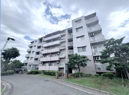 青葉の森公園通り 現地写真