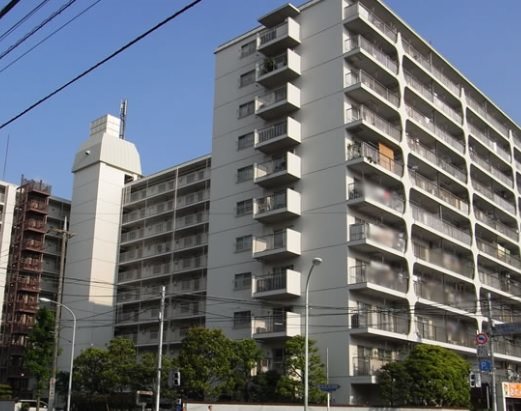 宇喜田カメリア 現地写真