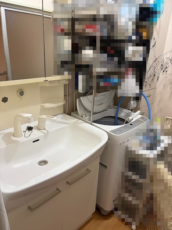 吹上団地テラスハウス 内観写真（洗面台・洗面所）