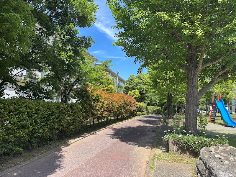 みつわ台3-1団地5棟 現地写真