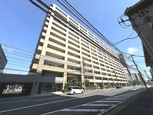 アデニウム千葉みなと 現地写真