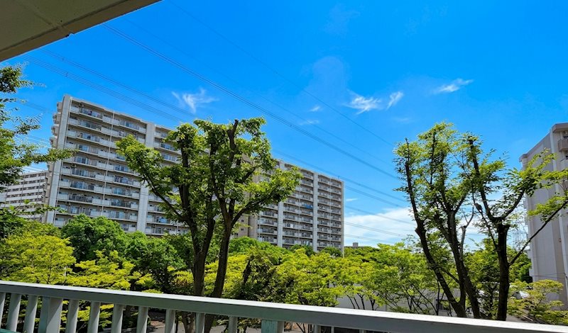 清新中央ハイツ１号棟 眺望写真