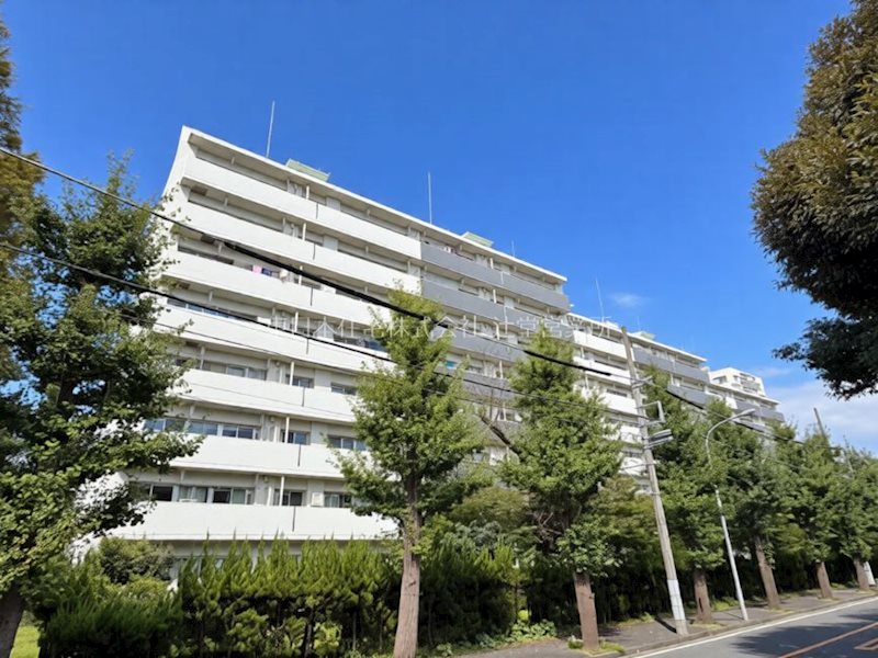 県ドリームハイツ 現地写真
