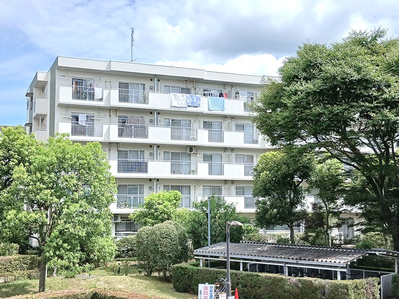 東鷲宮ニュータウン公園通り 現地写真