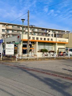 新栄町団地 現地写真