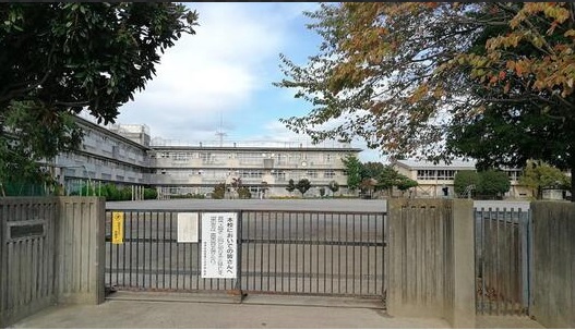 クレスト柏2号棟 小学校