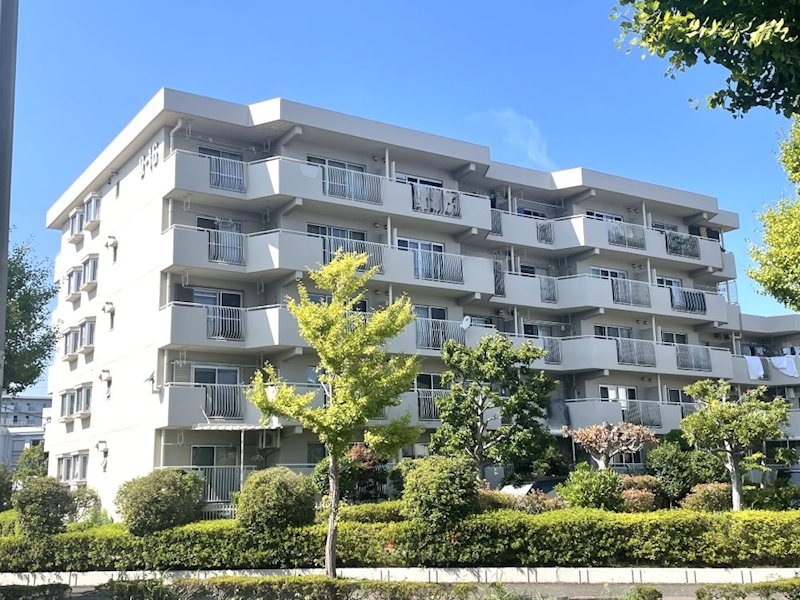 並木2丁目第9住宅 9-16号棟 現地写真