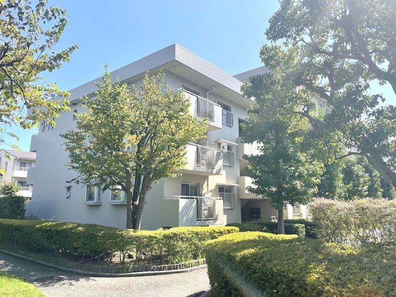 並木2丁目第9住宅 9-16号棟 現地写真