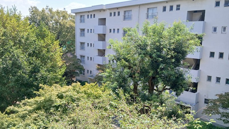 にれの木台第一住宅24棟 その他