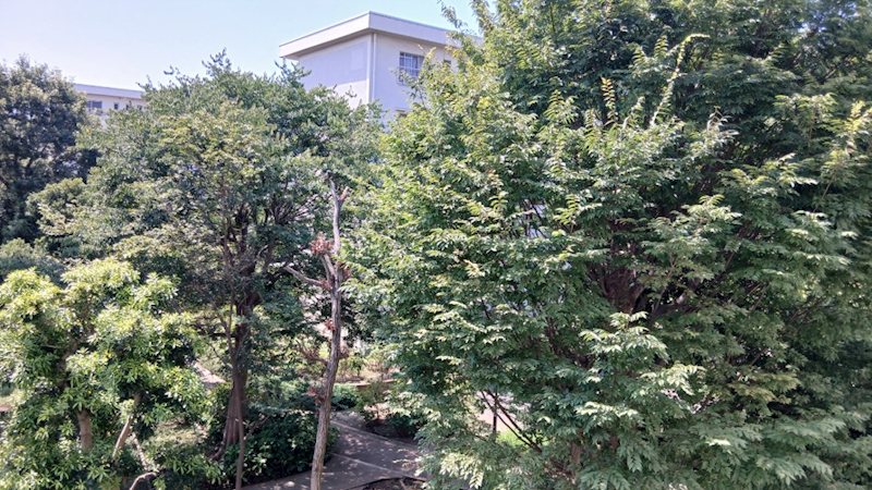 にれの木台第一住宅24棟 その他