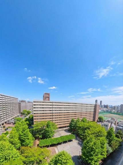 大島３丁目団地 その他