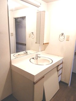 ベリアス西六番街 内観写真（洗面台・洗面所）