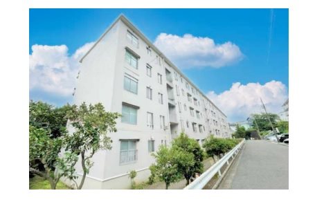 藤沢立石ハイツ 現地写真