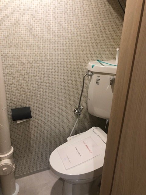 竹山団地 内観写真（トイレ）