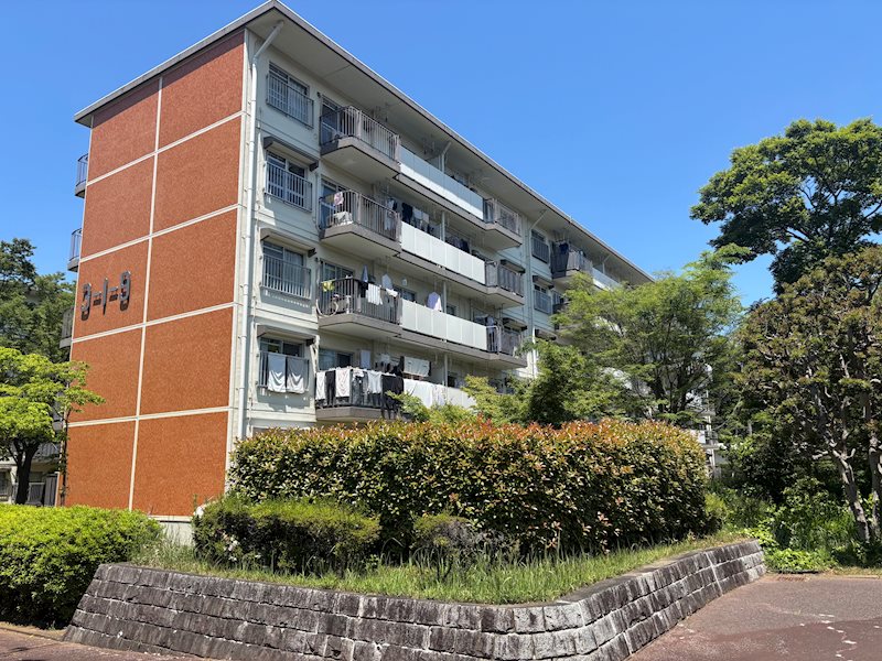 みつわ台3-1団地9棟 現地写真